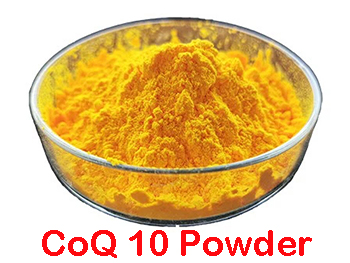 Does CoQ10 Powder Work?